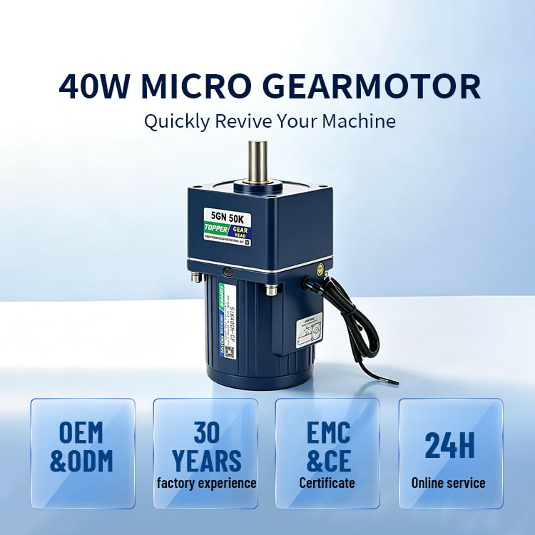5IK40GN-5GN3-300K Small Size Micro AC Gear Motor Worm & Helical Gearing Arrangement for Machinery Industry & Farm Applications