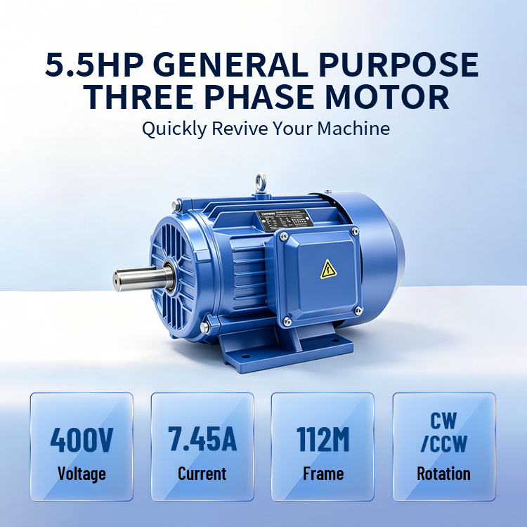 YE3 Series 400V 50Hz 3000rpm 4kw 5.5HP Motor Three Phase AC Induction Motor for Industrial