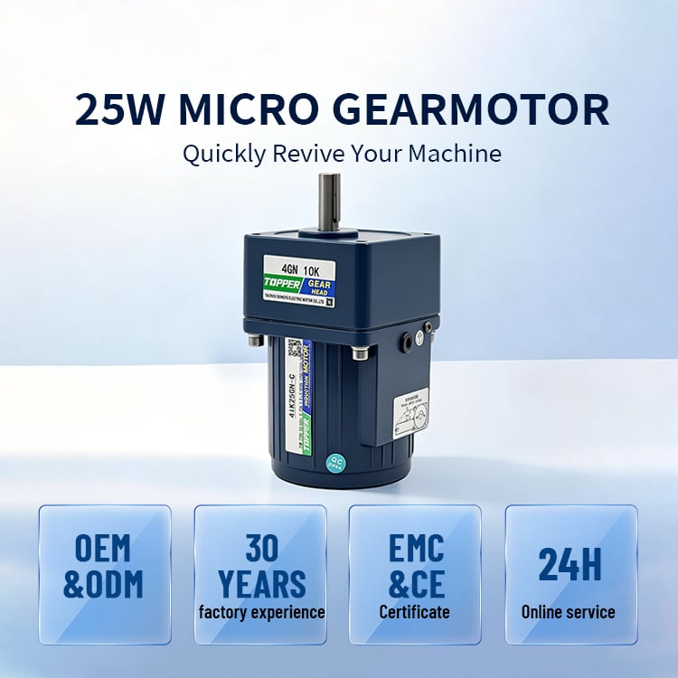 4IK25GN 4GN3-300K High Efficiency 25W4GN Micro Worm Gear Reducer Electric Motor and Micro Gearbox