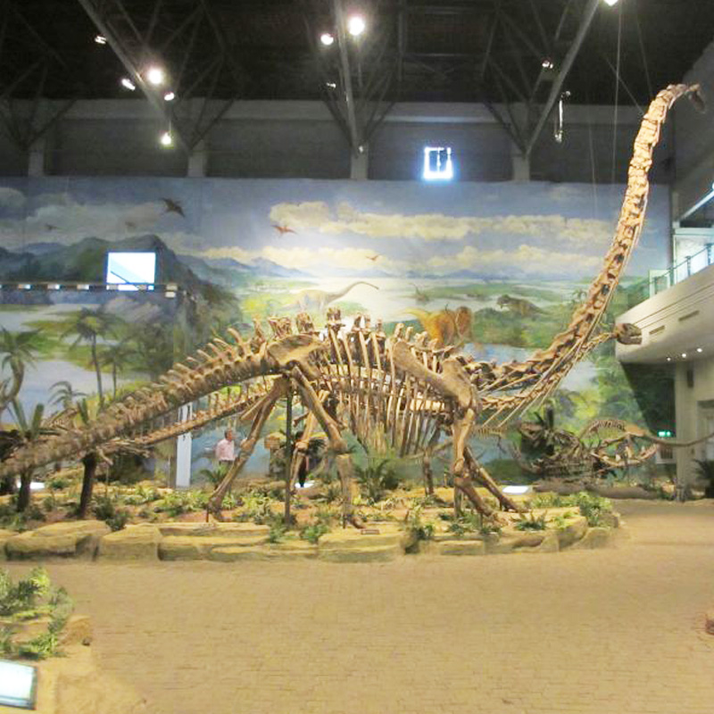 https://shopcdnalpha.grainajz.com/category/336752/3470/a33646e951810fa121473f5d209977de/Dinosaur%20Skeletons%26Fossils.jpg