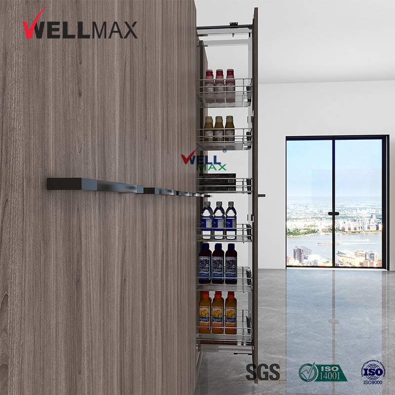 WELLMAX OEM/ODM Pantry Door Organizer Kitchen Accessories Cabinet Space Saving Wire Pull Out Shelves