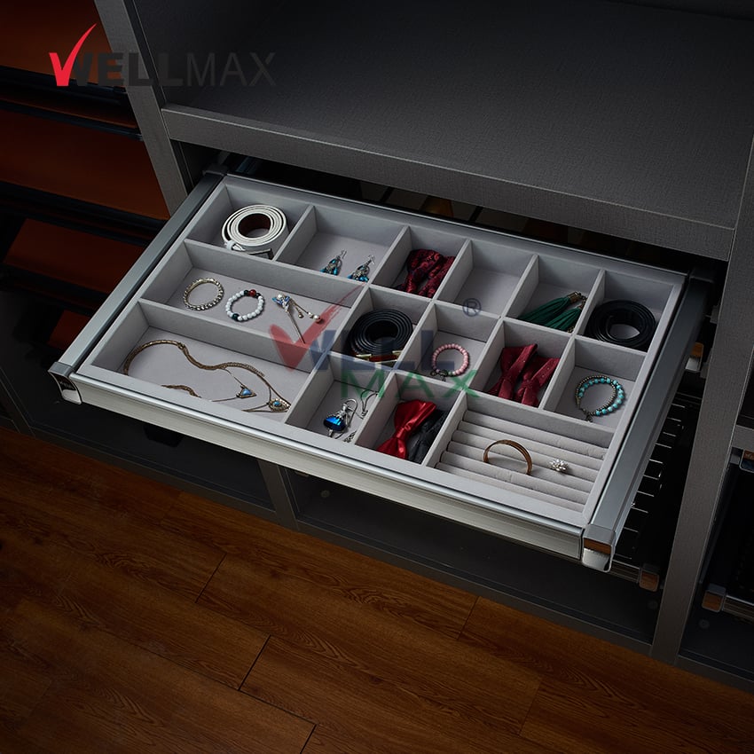 WELLMAX Wardrobe Accessories Jewelry Tray Drawer Pull Out Sliding Organizer Box Basket Storage
