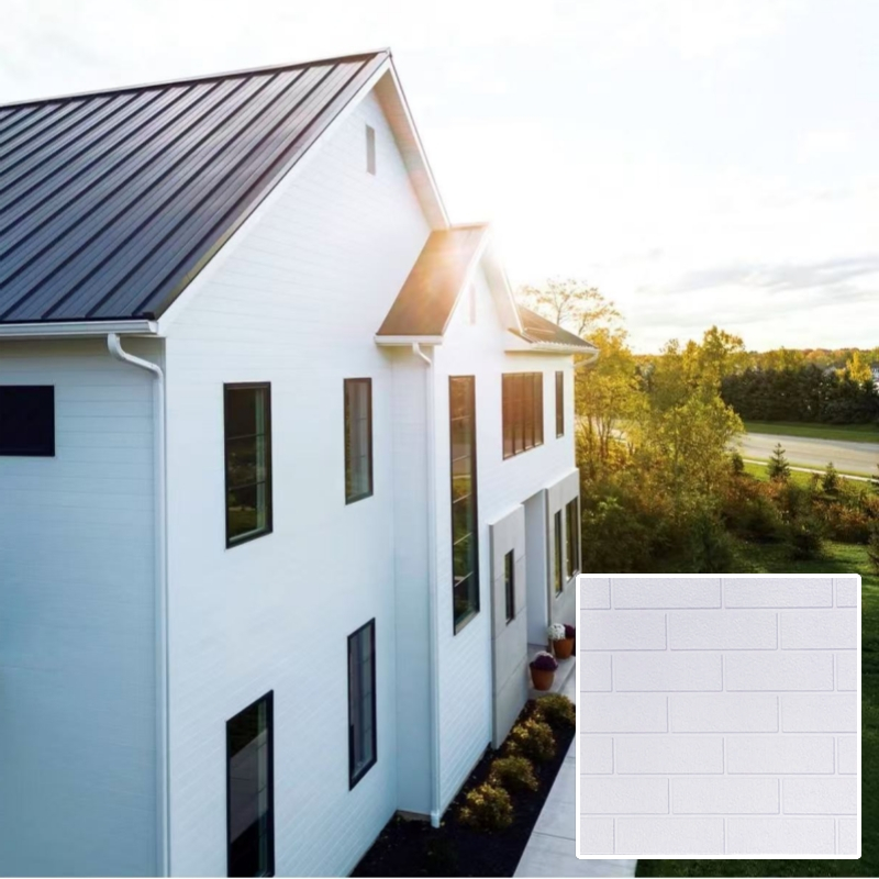 Metal House Siding for a Modern Look