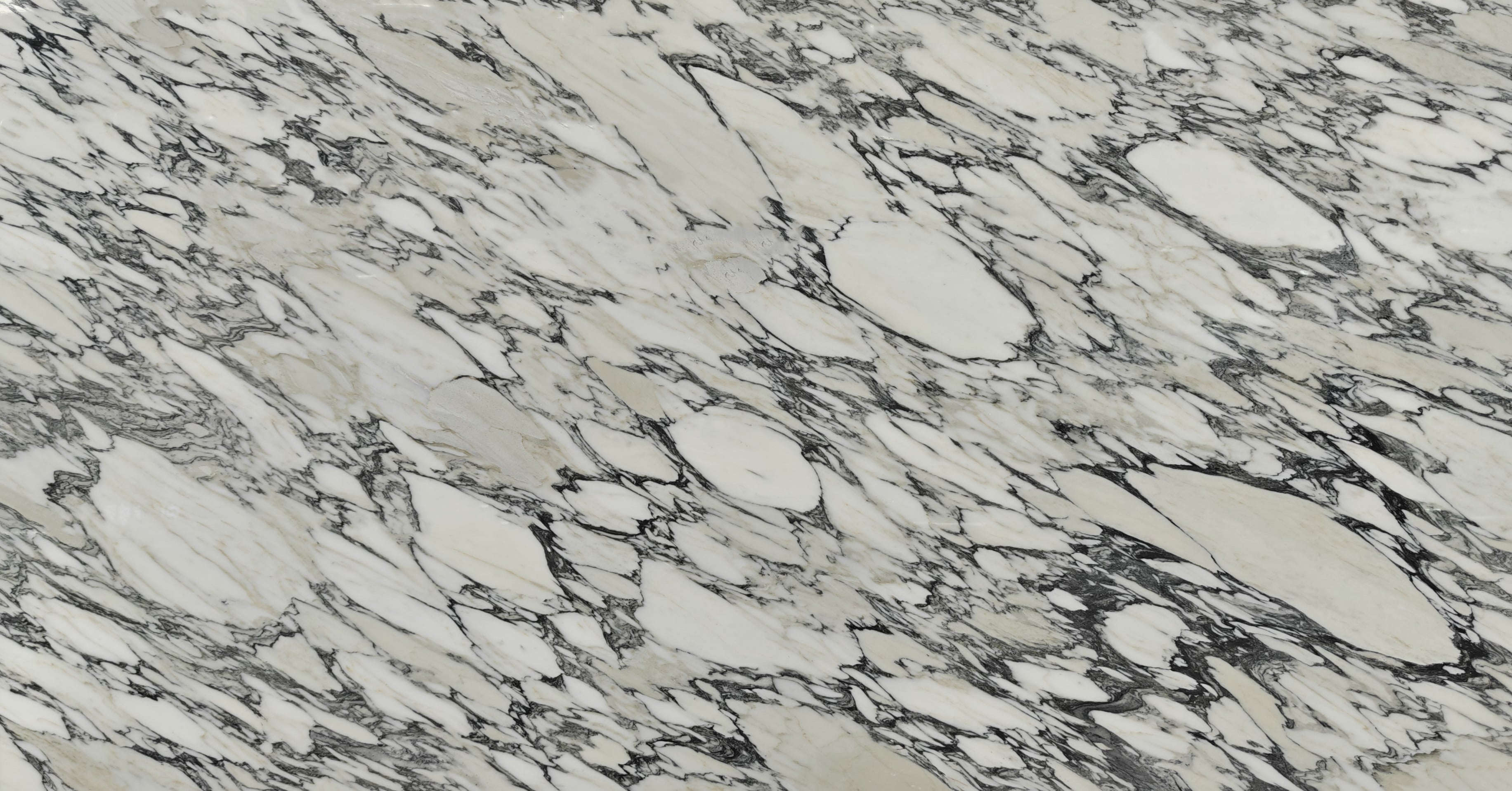 Arabescato White Marble Slab