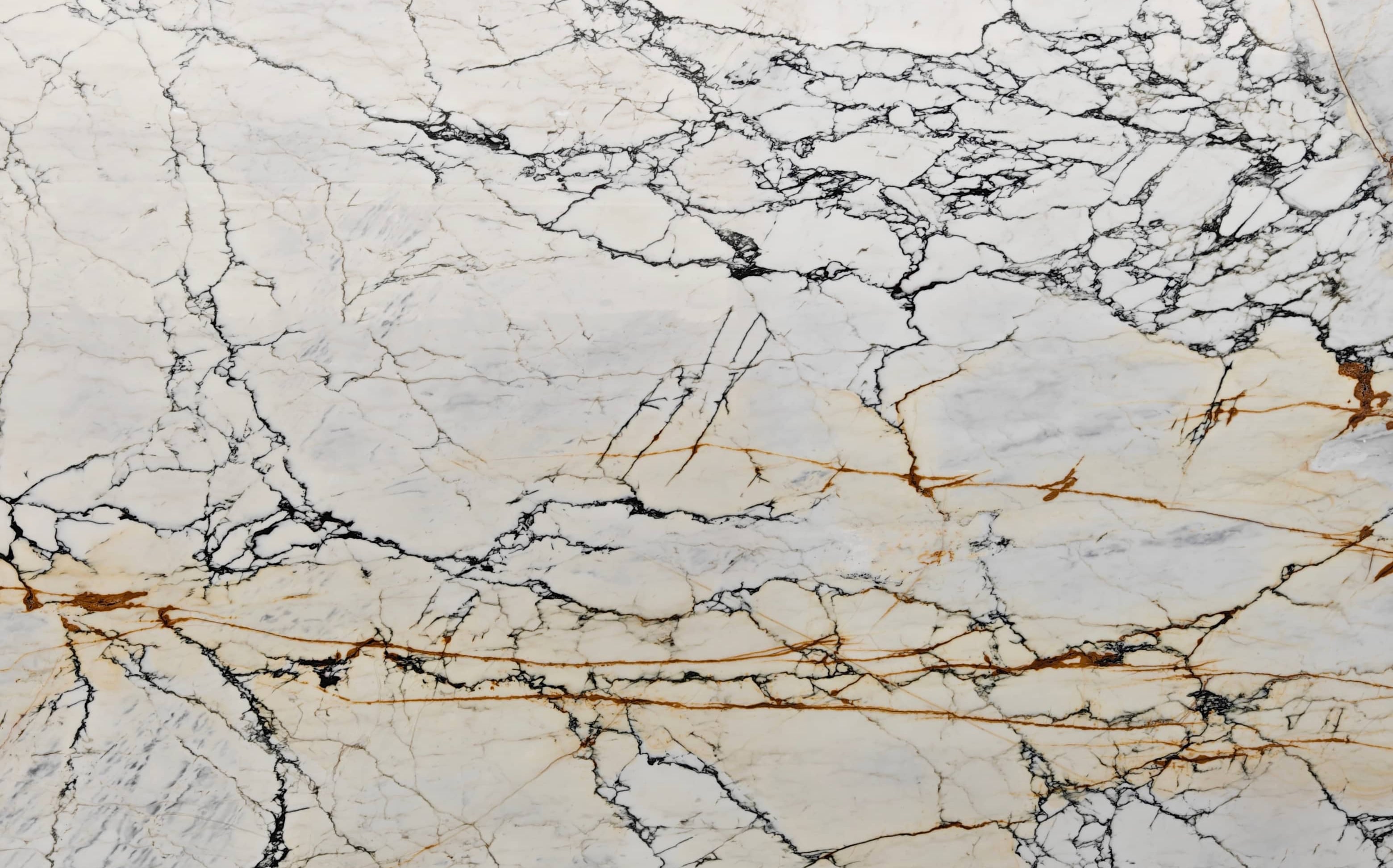 Calacatta Paonazzo Marble Slab