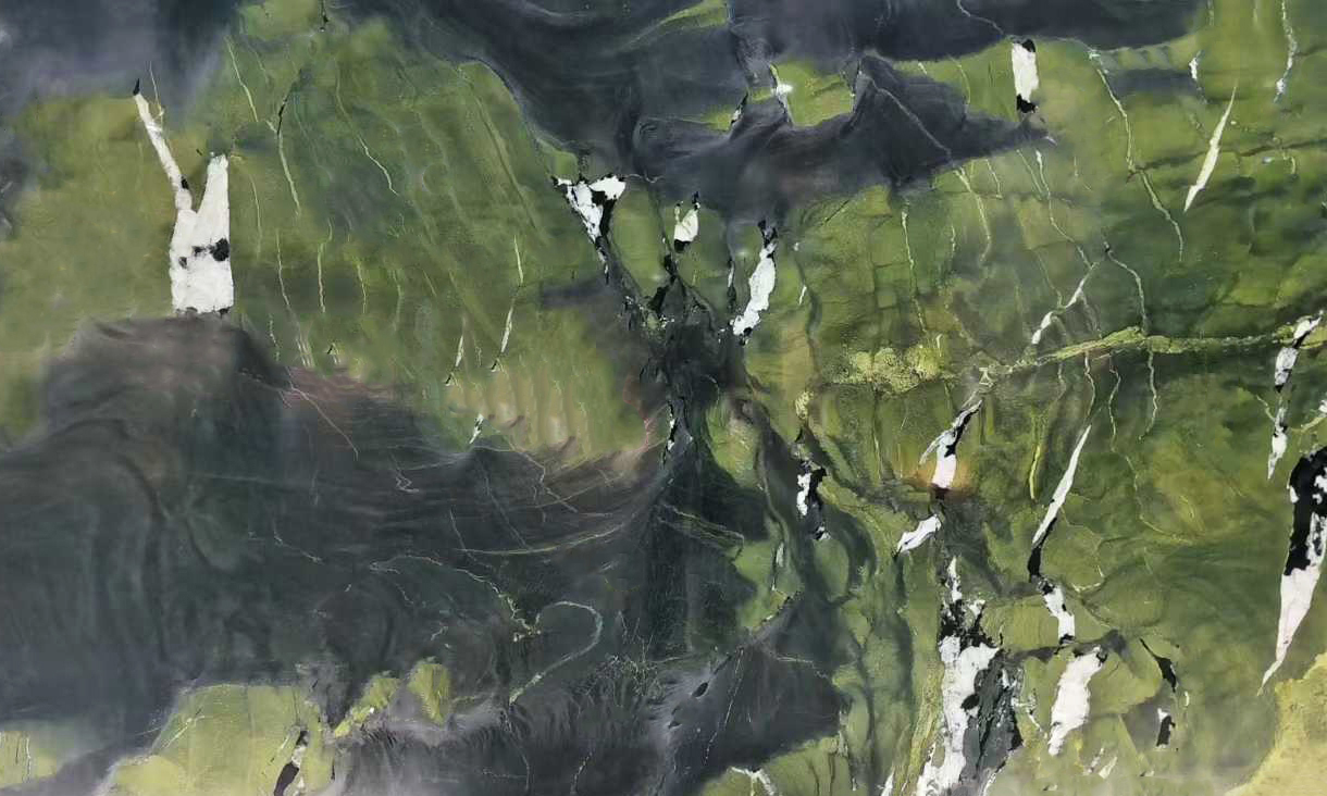 Green Avocatus Quartzite Slab