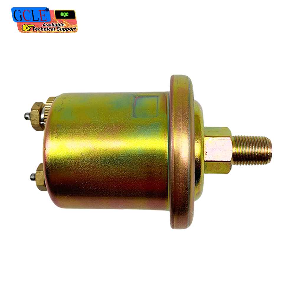 ES2P-100 سنسور فشار روغن