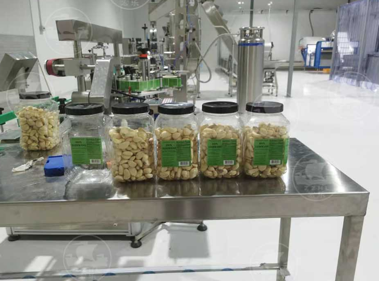 Shipping For Automatic Garlic Processing Filling Production Line