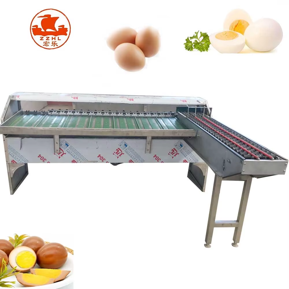 Egg Grading and Washing Line: How It Improves Efficiency and Hygiene