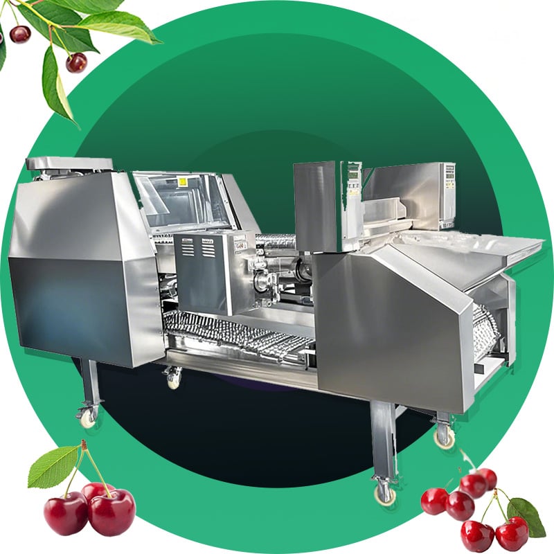 Cherry Automatic Positioning and Pitting Machine
