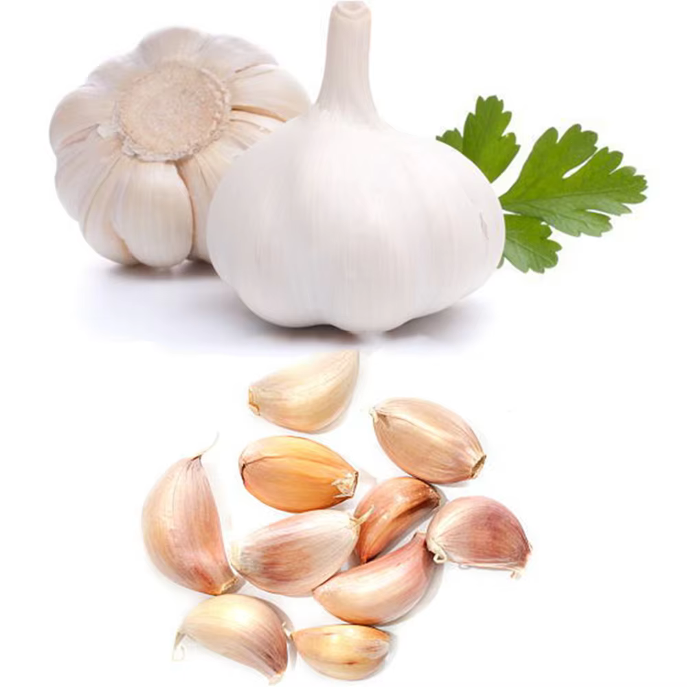 Professional Automatic Garlic Splitter/Dry Garlic Breaking Machine/Garlic Clove Separator supplier