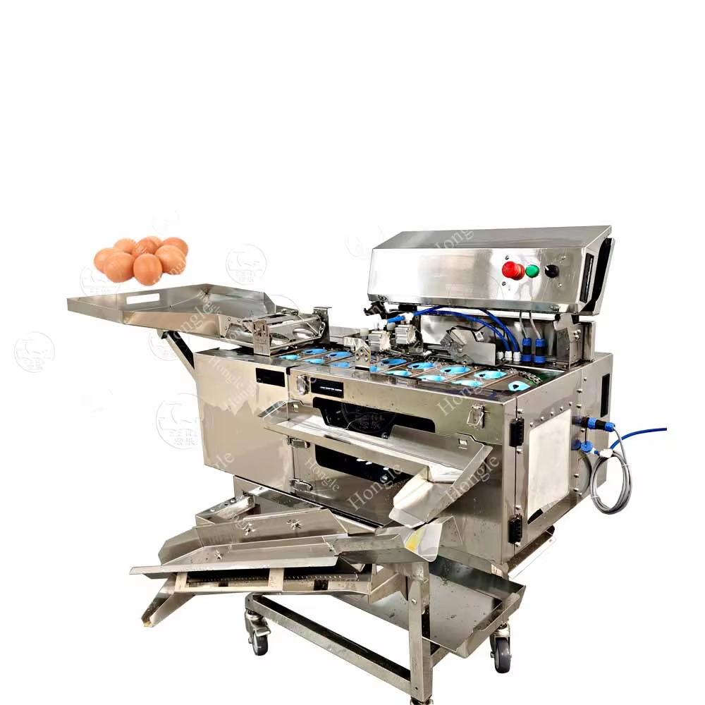 How to Choose the Right Egg Processing Line for Your Production Scale