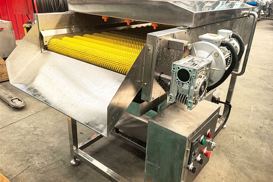 Brush cleaning machine exported to Switzerland, case study of vegetable and fruit cleaning equipment