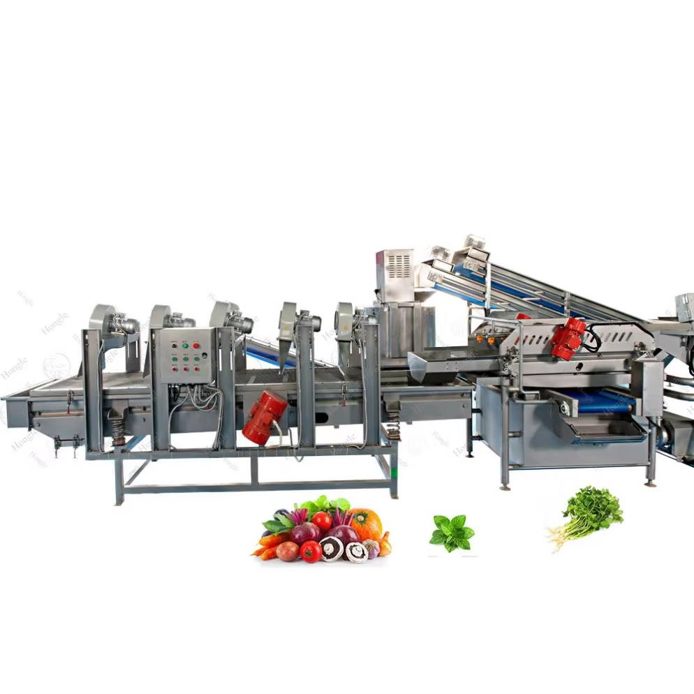 Blueberry Grading Machine | Automated Size, Color & Defect Sorting | Reduce Labor Costs​