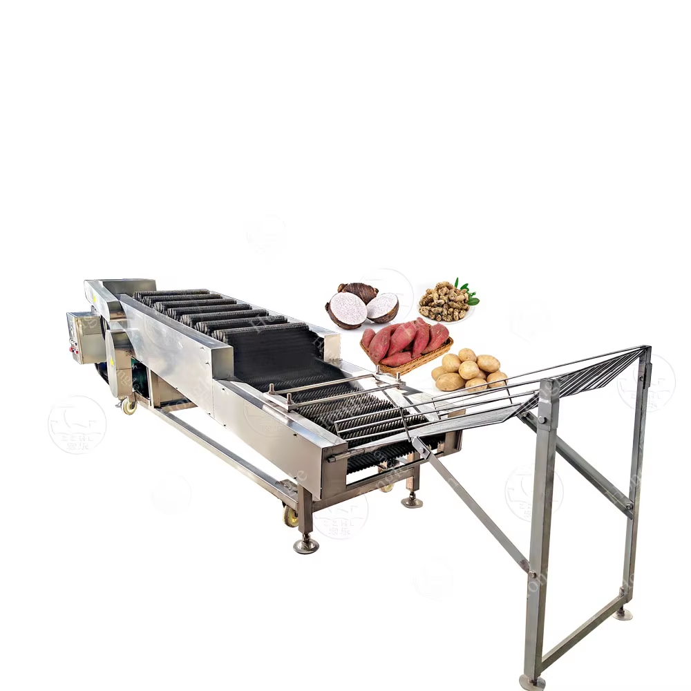 Industrial Potato Cleaning Machine | High-Speed Automatic Washer & Peeler for Farms & Factories​