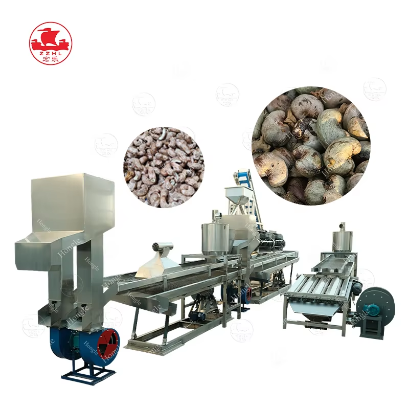 Maximizing Cashew Machine with 98% Yield and Artificial Intelligence Automation｜Industrial Processing Plant