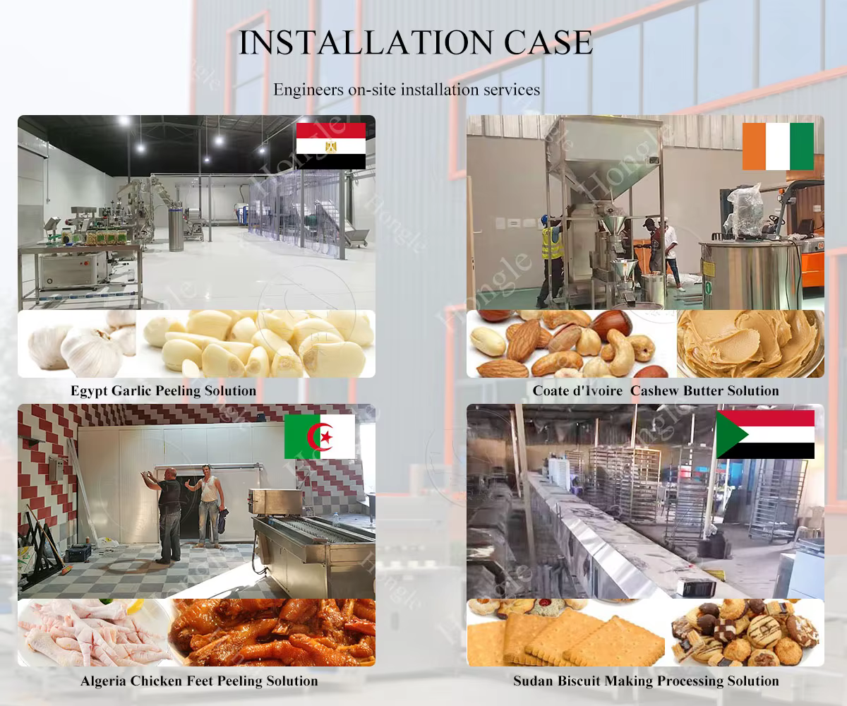 High Quality 400 Kg Chain Type Dry Garlic Onion Peeling Machine Auto Garlic Skin Peeler Machine manufacture