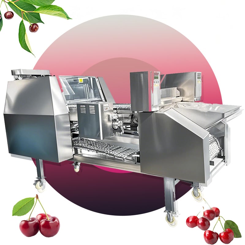 Cherry Automatic Positioning and Pitting Machine