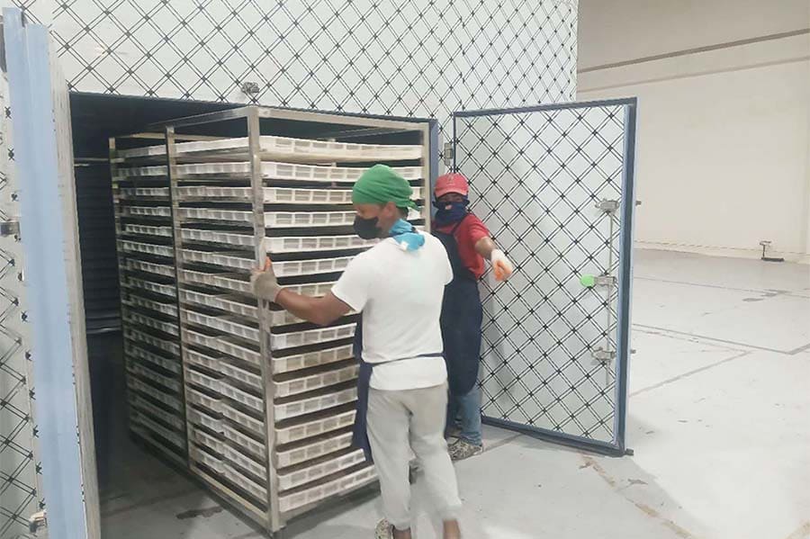 Banana powder dryer exported to the Philippines. Banana dice efficient drying solution