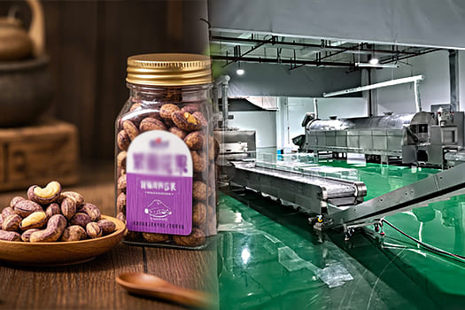 500KG/Hour Equipment for the Purple Cashew Baking Seasoning Packaging Line was Successfully Delivered to Hainan Customers