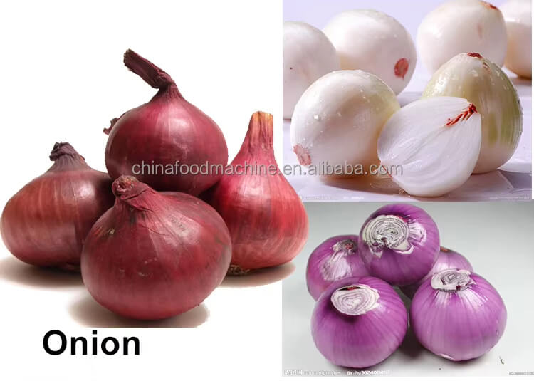 Onion peeling machine finished product display.jpg