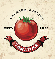 Crafting Ketchup: A Comprehensive Guide from Fresh Tomatoes to Finished Product