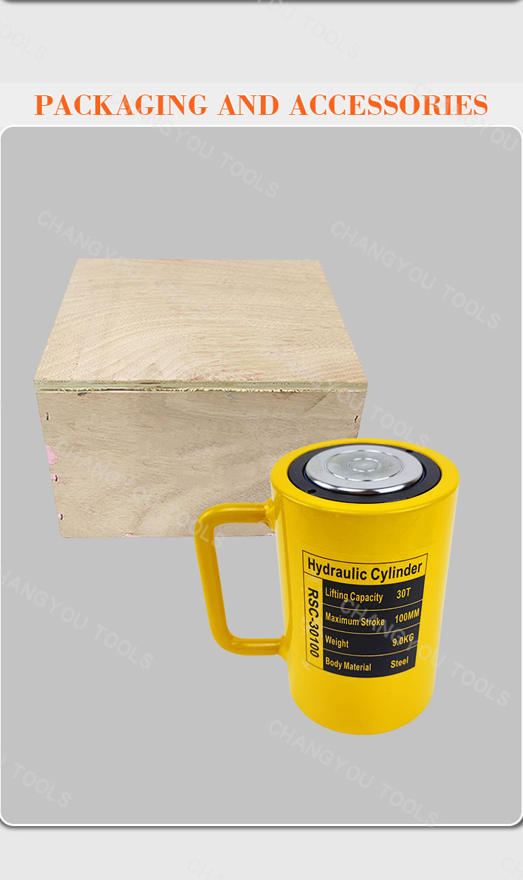 rsc 30100 30 ton hydraulic cylinder ram-9