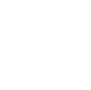Fast Delivery