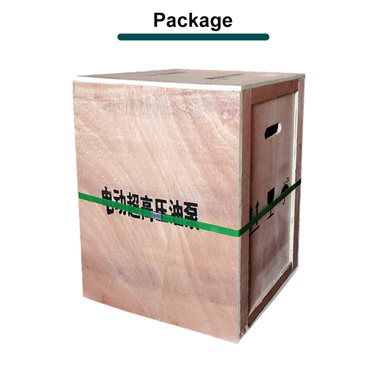 db300 d2 3kw double acting high power electromagnetic electric pump metal magnetic drive pump oils 60hz application-11