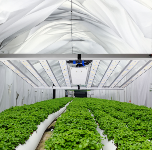 Customizable JK Grow Light: OEM/ODM Support & Tailored Solutions