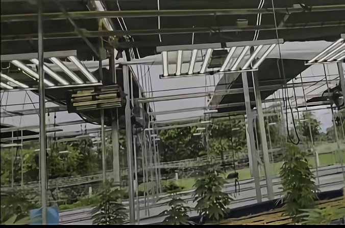 UVC 253.7nm for agricultural farm
