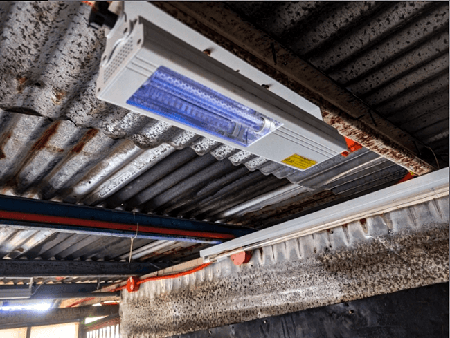 Air and surface sterilizer for swine farm