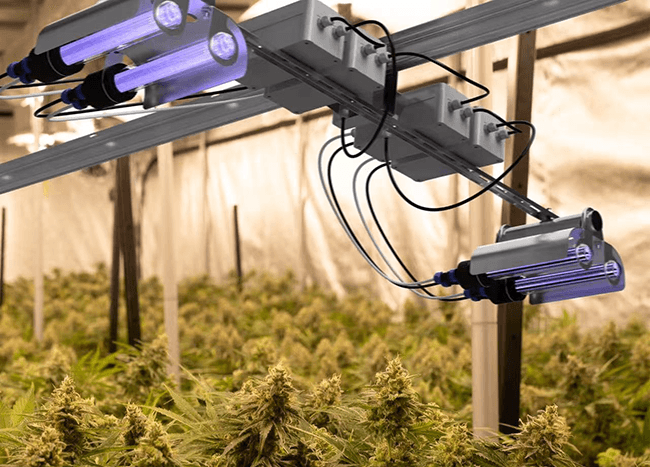 Track far UVC light for farm