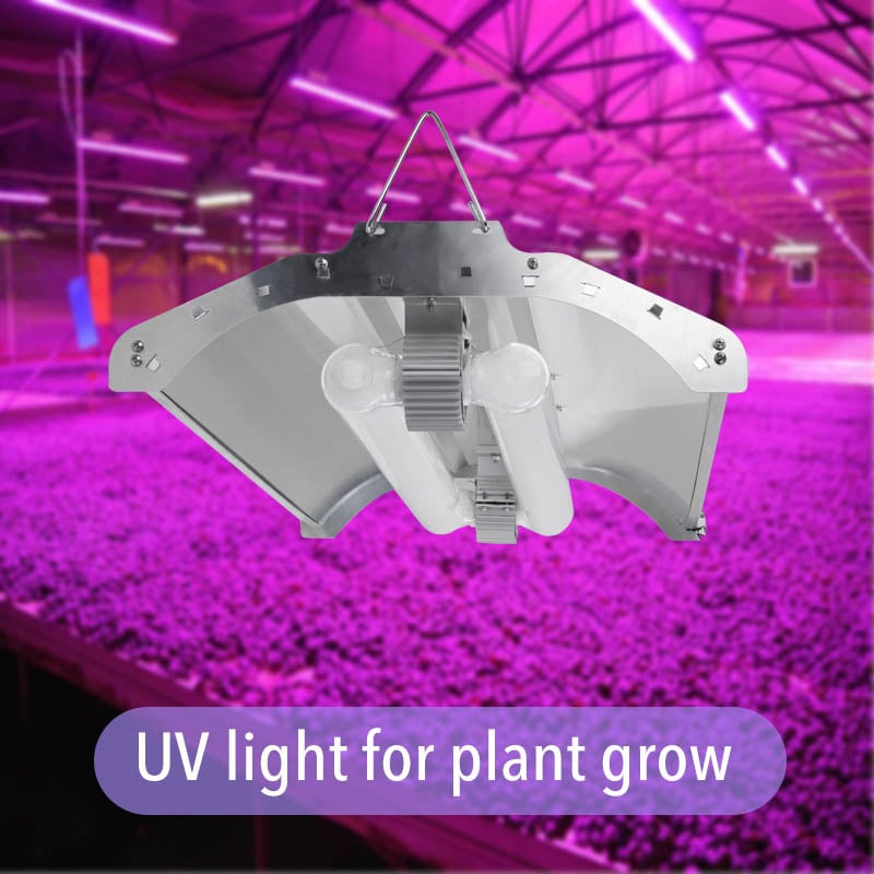 Enhance Your Plant Growth with UV Light Solutions