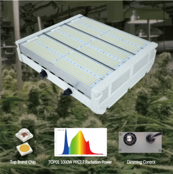 Illuminate Your Growth with Full Spectrum Grow Lights