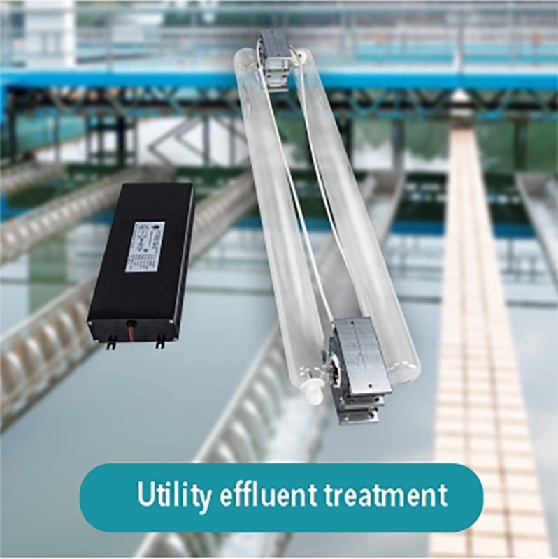 Comprehensive Disinfection Solutions