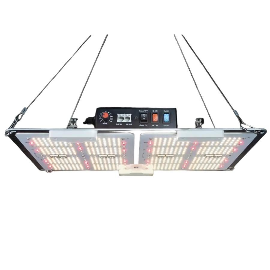 JK ホットセール IP65 LED グローライト - ダイマブル Samsung LM301H