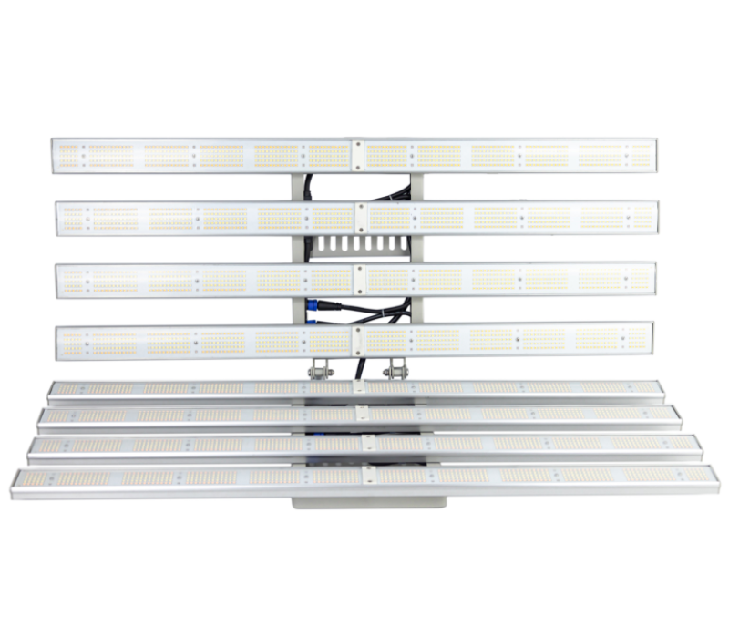 Elevate Your Horticultural Experience with 1000W LED Grow Light