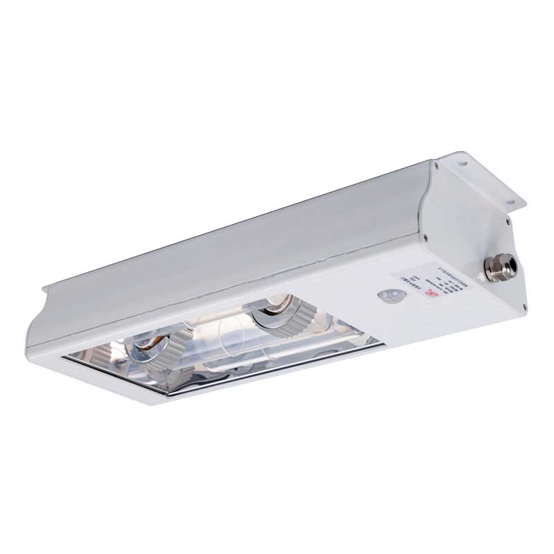 Ceiling UV germicidal luminaire with induction lamp（60W~300W)