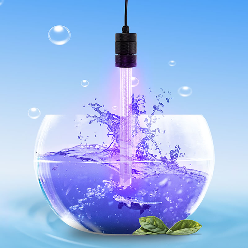 Eco-Friendly Pest Control Solution