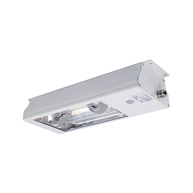 Ceiling UV germicidal luminaire with induction lamp（60W~300W)