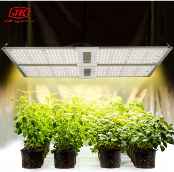 Advanced LED Technology for Optimal Growth