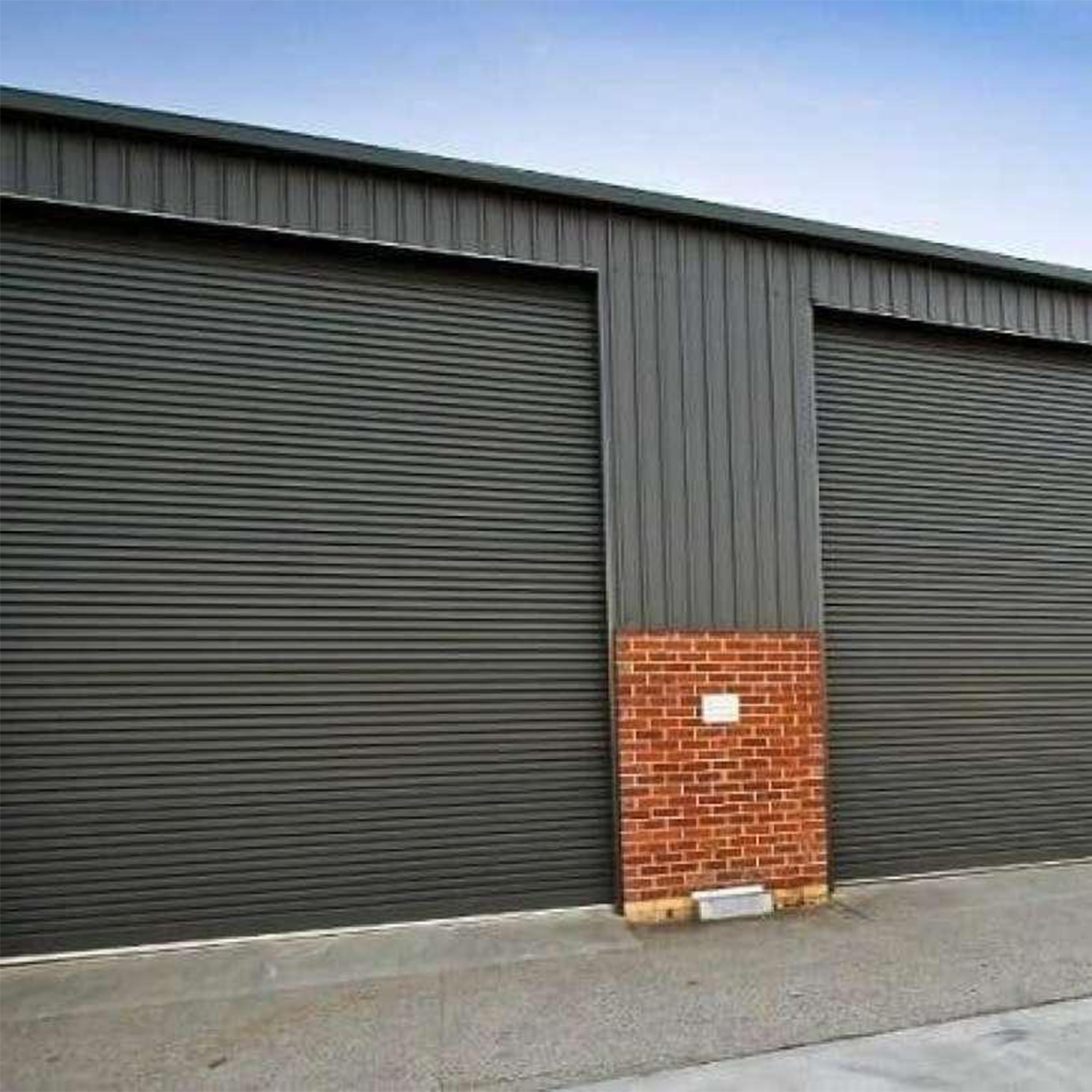 Complete Range: Manual, Electric, Insulated and Customized Doors