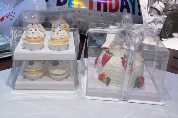 Common Usage Issues with Cake Clear Boxes and How to Avoid Them
