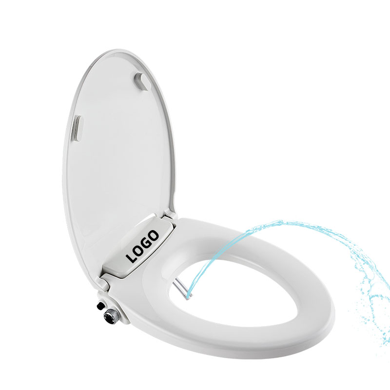 What Are Common Usage Issues with Bidet Toilet Seats?