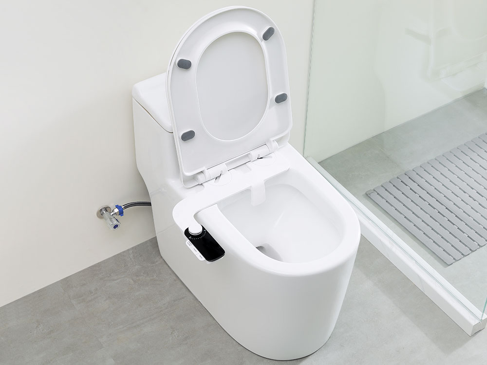 Benefits of using a bidet
