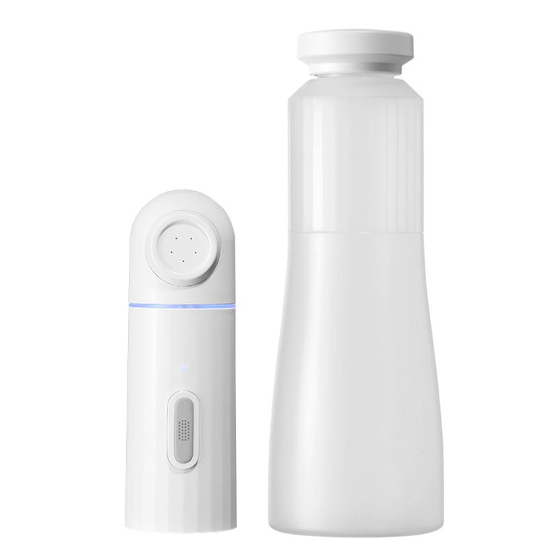 Portable Bidet