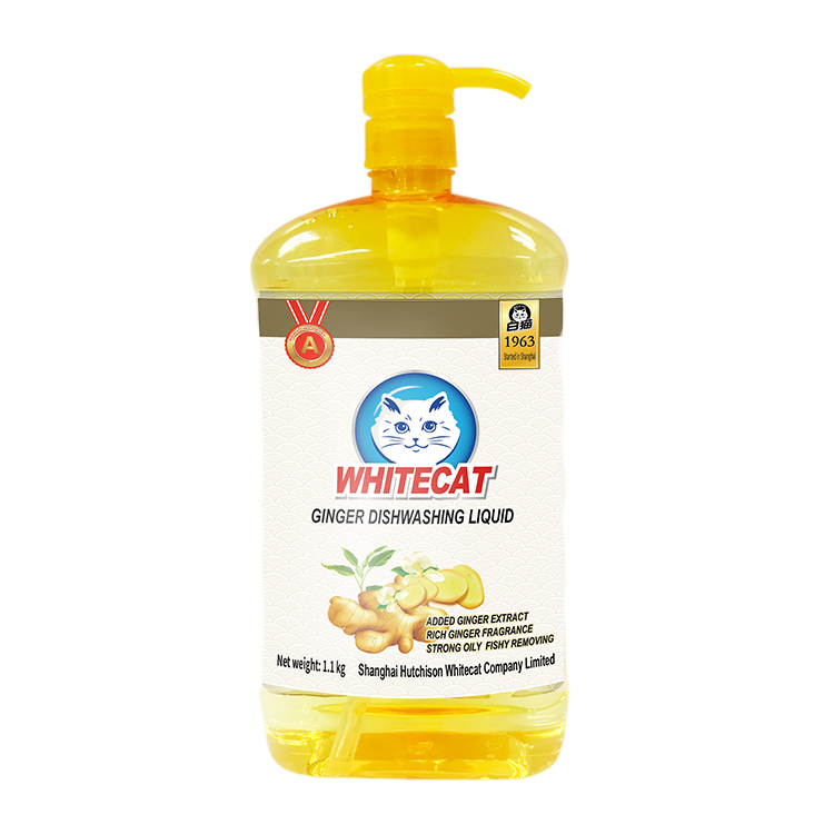 Ginger 1.1正.jpg