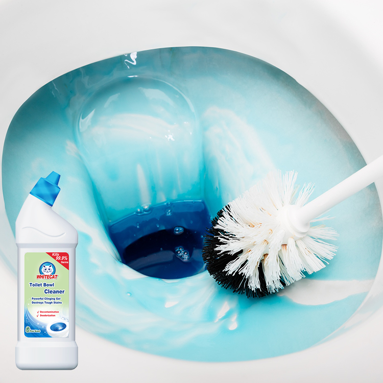 Hoe kiest u een toiletreiniger met een bacteriedodend vermogen van 99%?