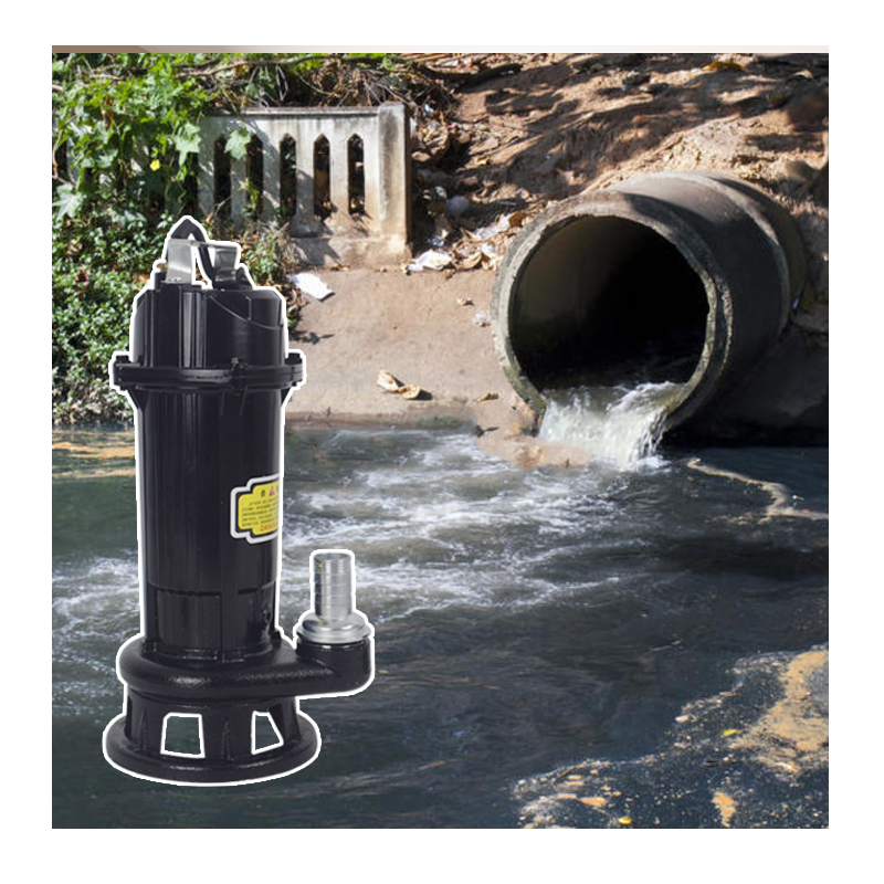 Where to Find Reliable Suppliers for Bulk Impeller Pump Orders